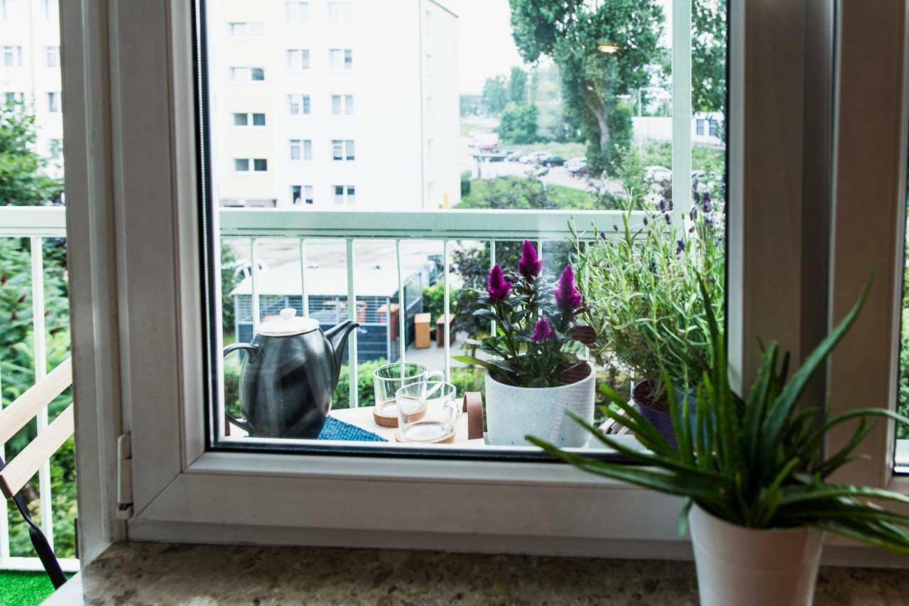 Slaska Apartment